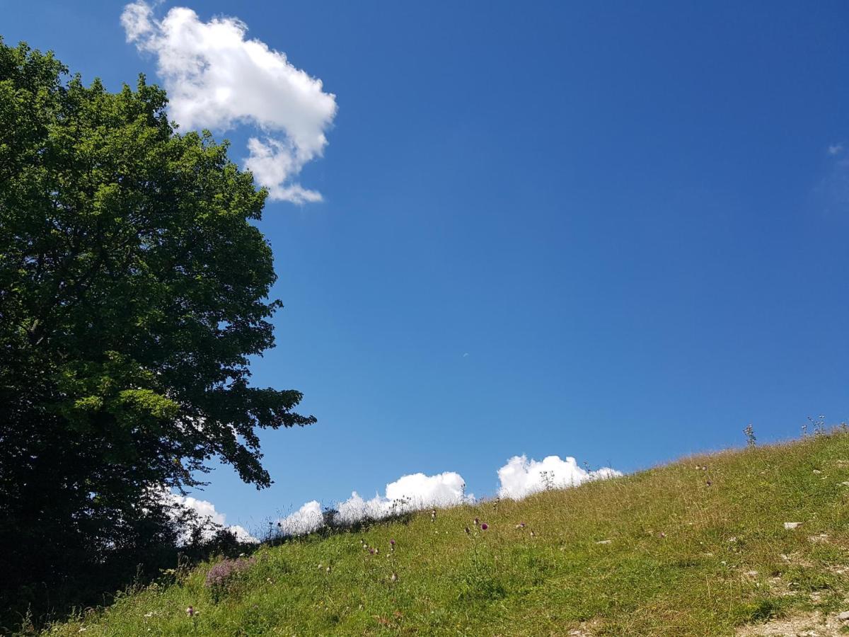 Donovaly Alonia Daire Dış mekan fotoğraf
